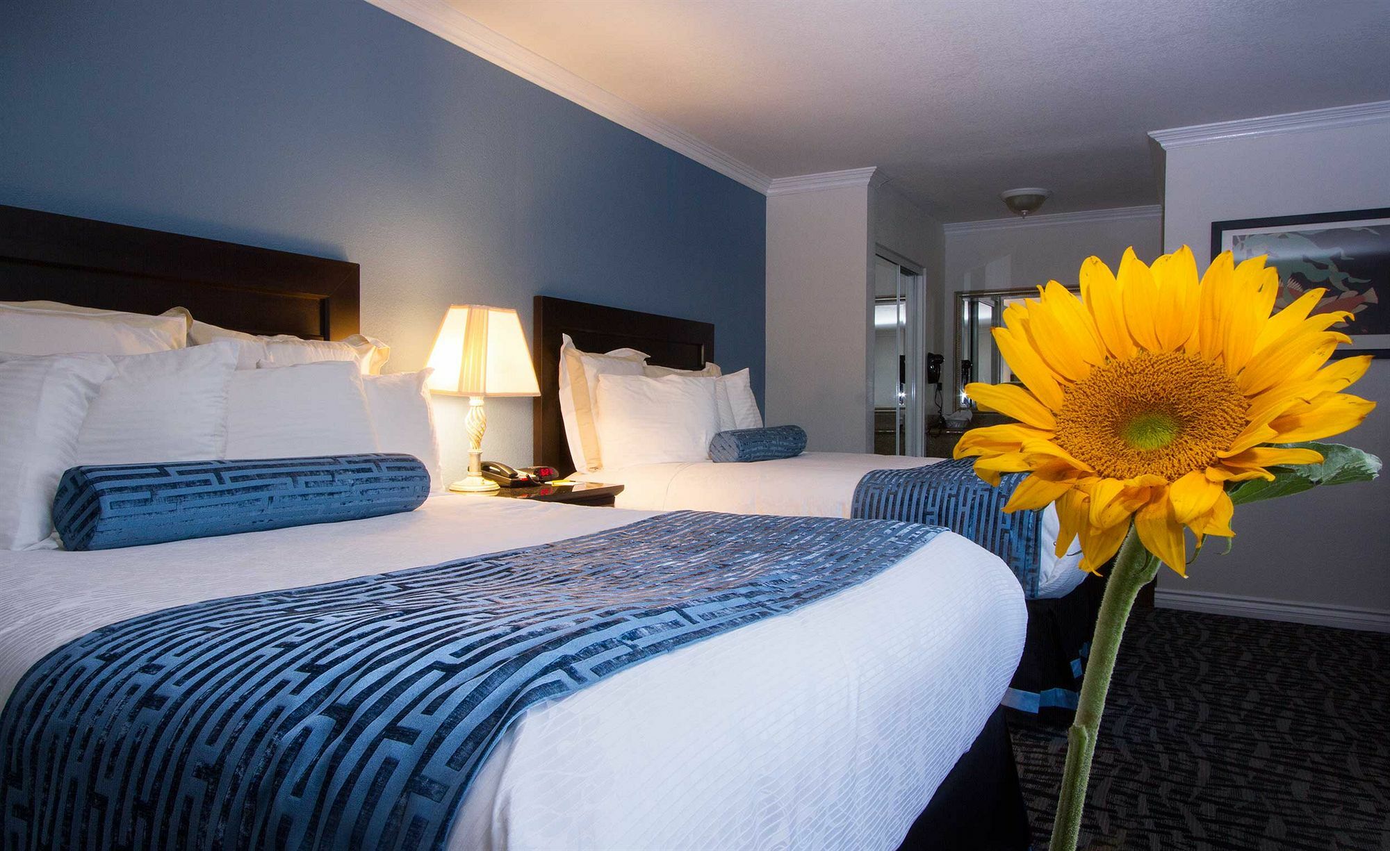 Regency Inn In Los Angeles Ngoại thất bức ảnh